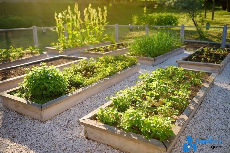 Tips for Sustainable Gardening and Landscaping-min