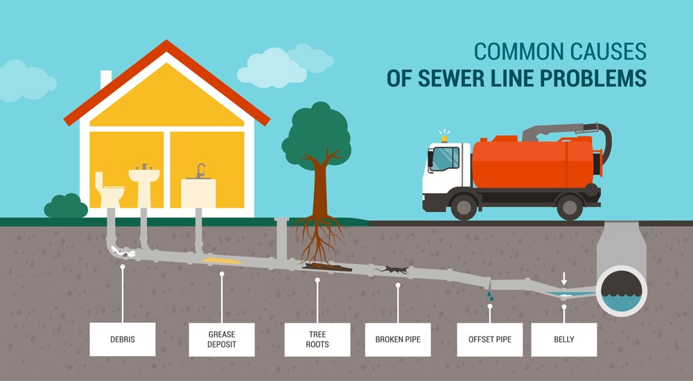 Sewer Infographic
